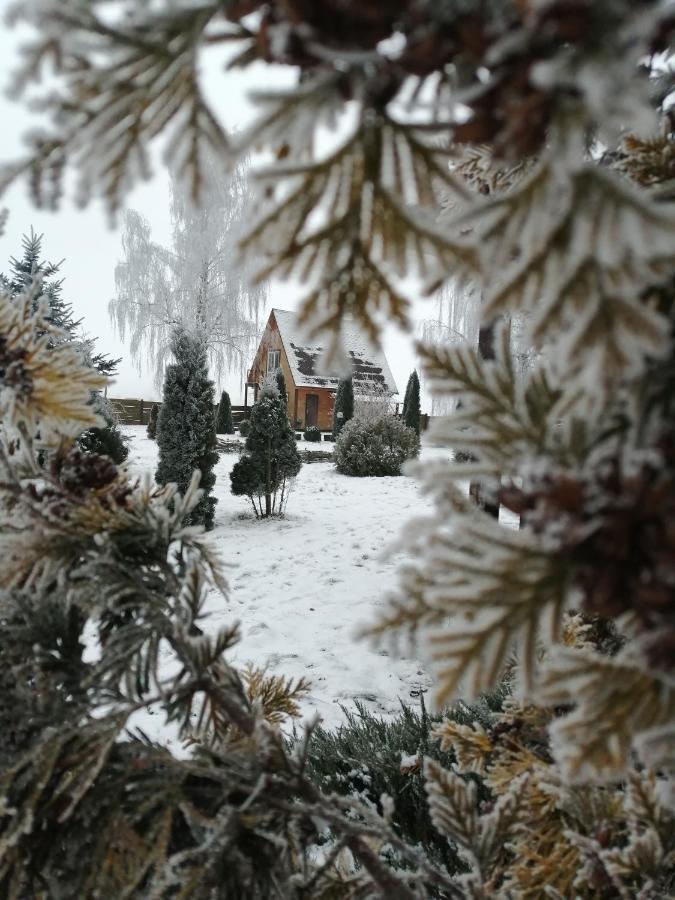 Usadba Kupalinka Hotel Ostrovo Exterior foto